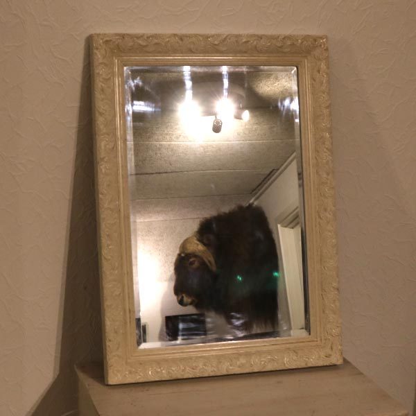 Nyere romantisk spejl råhvid 51x71x3 cm