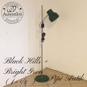 Standerlampe plast og metal og krom Black Hills mix med Bright Green Autentico Ø6×125 cm i højden